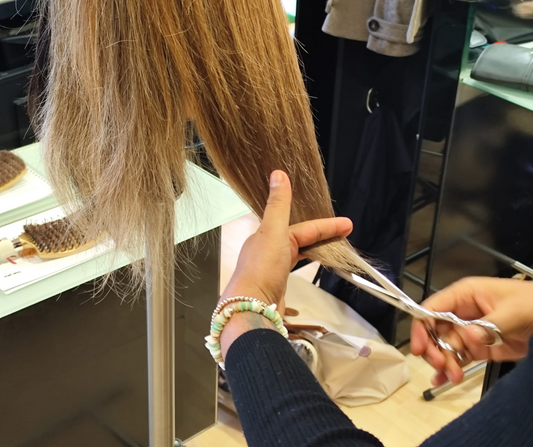 Prebonded Hair Extensions Training - In-Salon