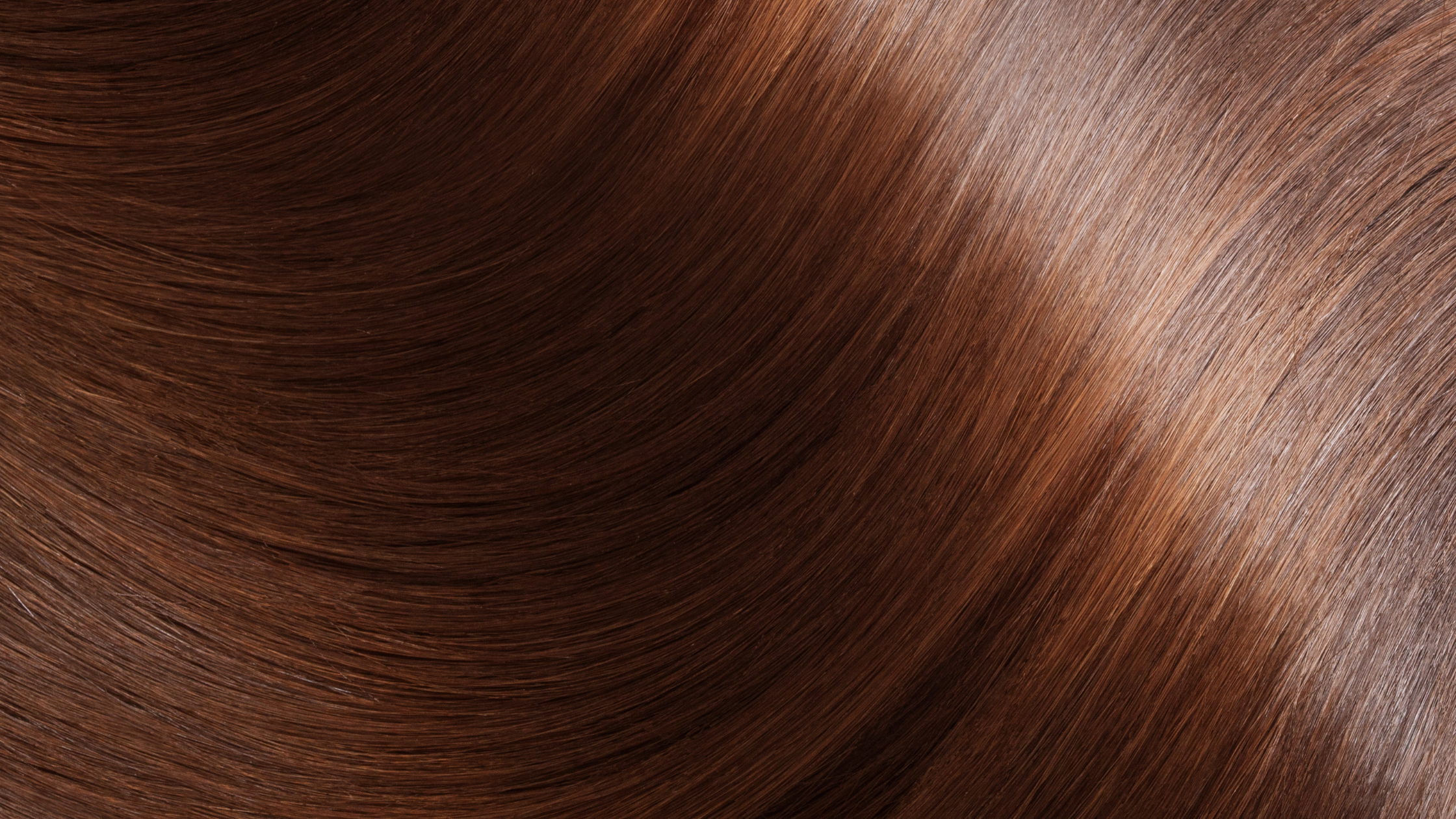 Banner Hair Plus Academy Homepae